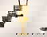 item-209494777=4