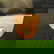 item-210053470=10