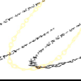 CELINE Triomphe Long Gold Necklace Unisex Stainless Steel: CELINE Triomphe Long Gold Necklace Unisex Stainless Steel Elevate your accessory collection with this stylish CELINE Long Necklace Chain. Designed for both men and women, this unisex neck chain featur