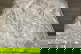 item-210770209=4