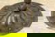 item-210774329=7