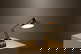 item-210778410=7