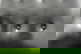 item-210783435=5