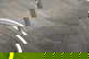 item-210783435=8