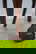 item-210784054=10