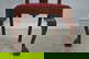 item-210784054=6