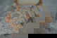 item-210787734=7