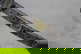 item-210797340=10