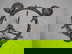 item-210797340=3