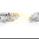 David Webb Platinum 18K Gold Zebra Bracelet with Diamonds and Rubies