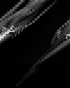 Brendan North Human Nature Pt. 5 Photography Limited Edition 1/3 50 x 40 Inch: Brendan North Human Nature Pt. 5 Photography Limited Edition 1/3 50 x 40 Inch Introducing "Human Nature Pt. 5," a striking piece of photography by renowned artist Brendan North. This limited edition a