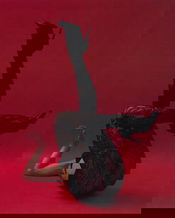Kseniya Vashchenko Form Photography 29.5 x 24 Limited Edition of 15: Kseniya Vashchenko Form Photography 29.5 x 24 Limited Edition of 15 Explore the captivating world of contemporary photography with "Form" by Kseniya Vashchenko. This striking piece, measuring 29.5" x