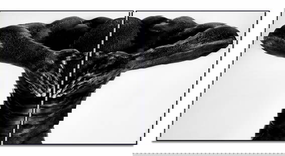 Giuliano Bekor Sculpt - S5 Diptych Photography Limited Edition 40 x 40: Giuliano Bekor Sculpt - S5 Diptych Photography Limited Edition 40 x 40 "Sculpt - S5 Diptych" is a striking photography piece by Giuliano Bekor, created in 2010. This limited edition artwork features t