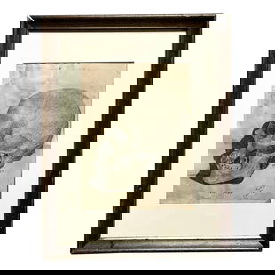 Vintage Boho Skull Pencil Sketch Art 14 x 18 Ecru: Vintage Boho Skull Pencil Sketch Art 14 x 18 Ecru Enhance your decor with this Vintage Boho Original Pencil Sketch of a Skull. This unique artwork features intricate pencil strokes that beautifully me
