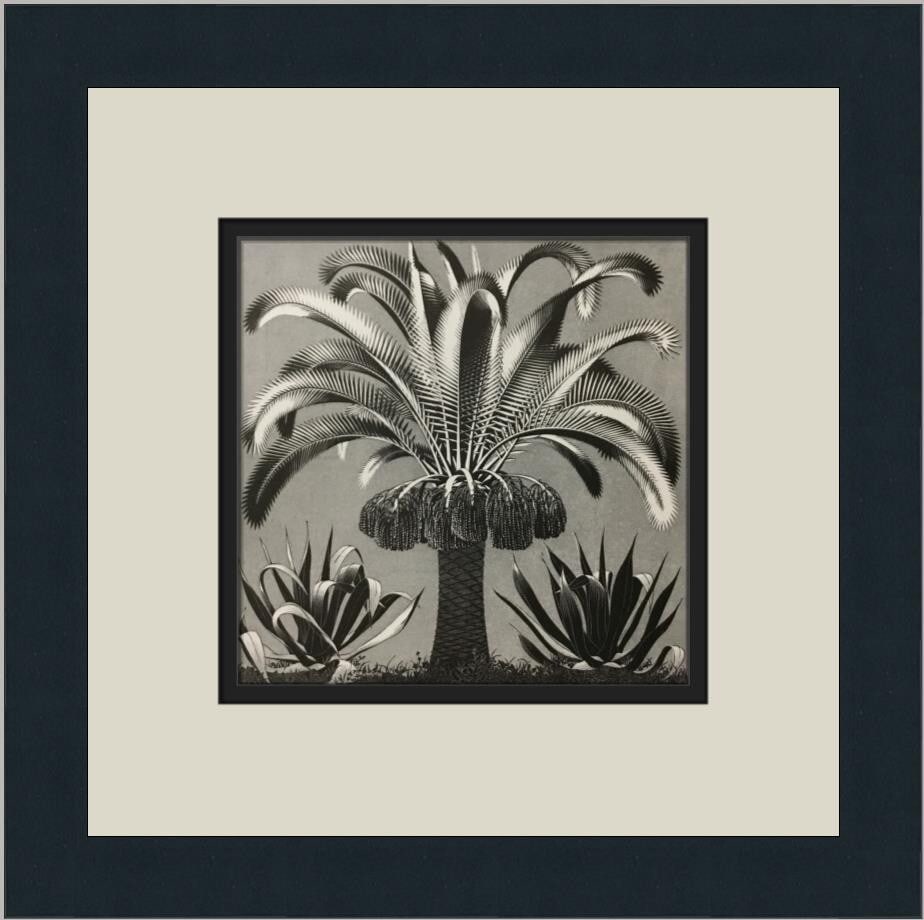 M.C. Escher Palm Custom Framed 12x12 Print 1974 Abstract Art: M.C. Escher Palm Custom Framed 12x12 Print 1974 Abstract Art This stunning custom framed print titled 'Palm' by renowned artist M.C. Escher, showcases a unique blend of abstract constructivism and fan