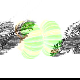 Vintage Tiffany & Co. 18k Yellow Gold Green Enamel Clip On Earrings: Vintage Tiffany & Co. 18k Yellow Gold Green Enamel Clip On Earrings This exquisite pair of vintage clip-on earrings from Tiffany & Co. features a stunning ribbed design crafted from solid 18k yellow g