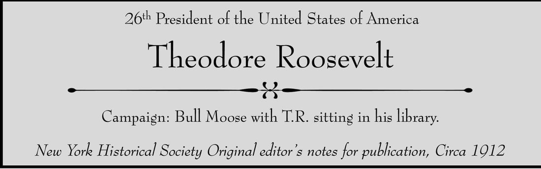 Theodore Roosevelt 1902 Original Publication Proofs Bull Moose Framed Art (1 of 6)