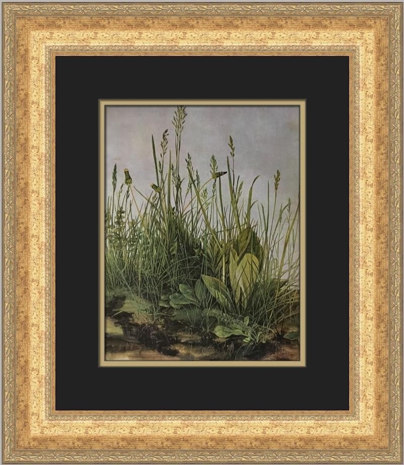 Albrecht Durer The Great Piece of Turf Custom Framed Art Print (1 of 2)