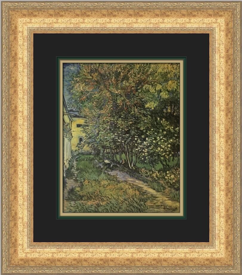 Vincent Van Gogh The Garden of Saint-Paul's Hospital Custom Framed Print 19x17 (1 of 2)