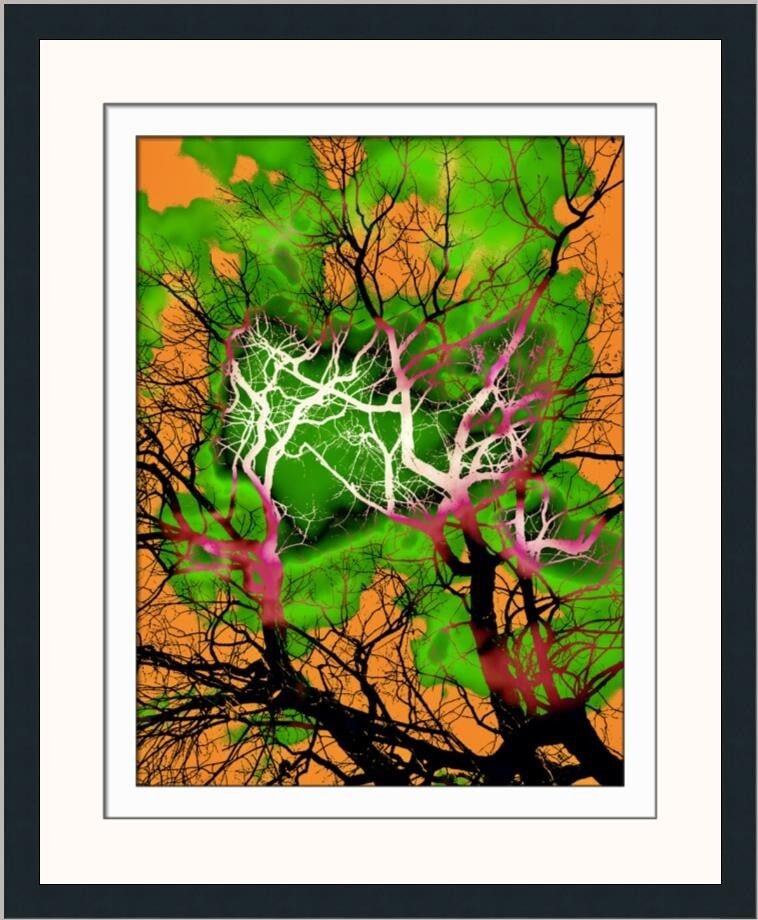 Brent Wickes Effervesce Limited Edition Giclee Print Framed 26x21 (1 of 2)