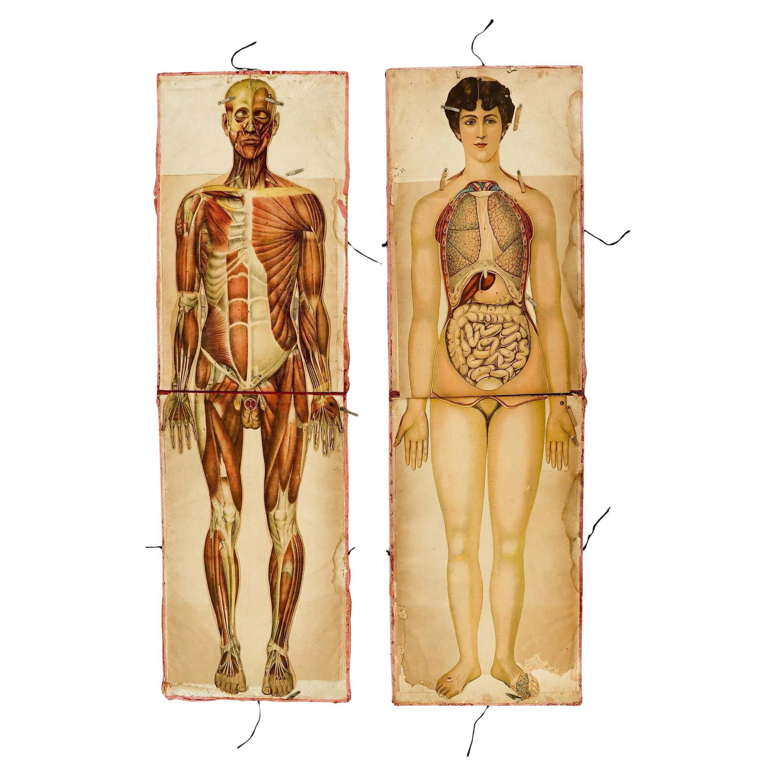 Rare Life-Sized Pilz Anatomical Flap Manikins Set of 2, Germany 1890 (1 of 14)