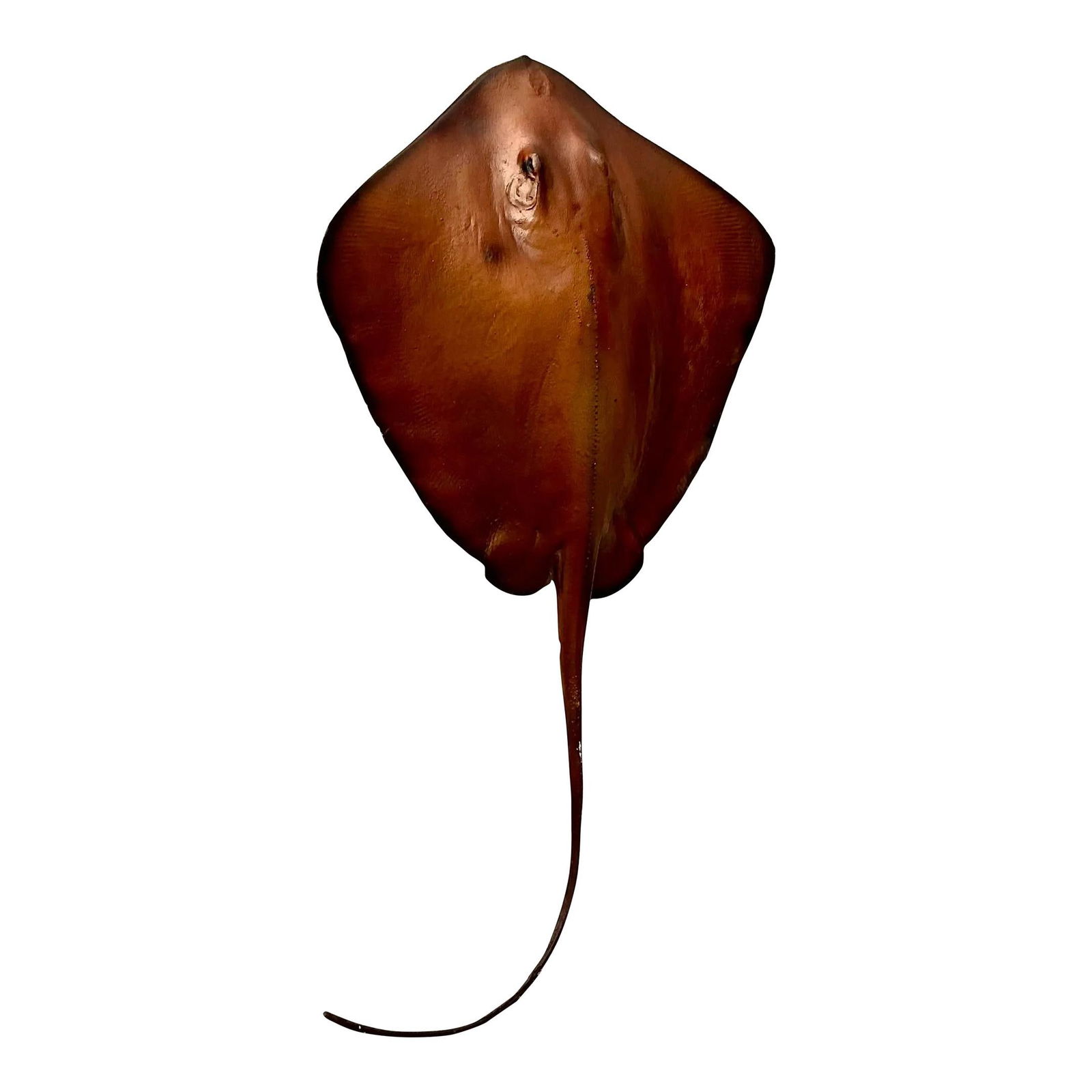 Vintage Boho Life-Size Chocolate Fiberglass Stingray Decor: Vintage Boho Life-Size Chocolate Fiberglass Stingray Decor Introducing a Vintage Boho Life-Size Fiberglass Stingray, a remarkable piece that effortlessly blends realistic design with bohemian flair. T