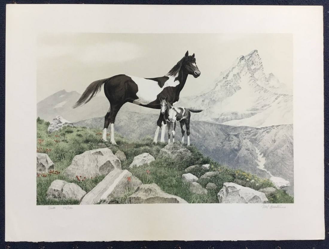 Mel Hunter Pinto Signed Limited Edition Lithograph #271: Mel Hunter Pinto Signed Limited Edition Lithograph #271 This stunning limited edition lithograph titled "Pinto" by renowned artist Mel Hunter captures the beauty of a Pinto horse in a multi-color pale