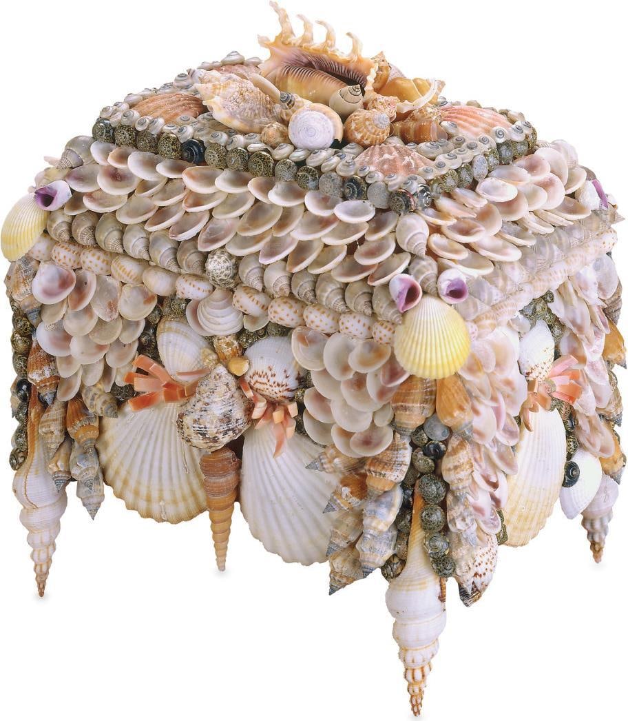 Currey Coastal Shell Jewelry Box 10H 10W 8D Boardwalk Collection (1 of 2)