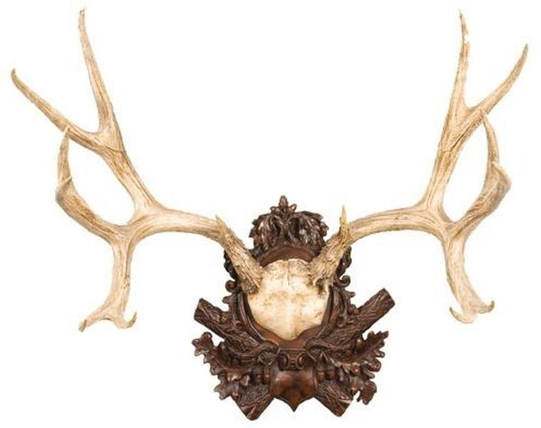 Hand-Painted Mule Deer Antler Plaque Lodge Style Ivory Finish (1 of 1)