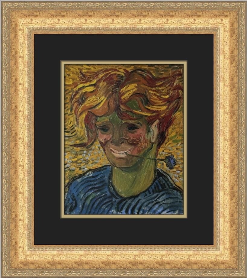 Vincent Van Gogh Young Boy with Carnation Framed Print 18x17 Art: Vincent Van Gogh Young Boy with Carnation Framed Print 18x17 Art This exquisite custom framed print features Vincent Van Gogh's iconic artwork titled "Young Boy with a Carnation between His Teeth."