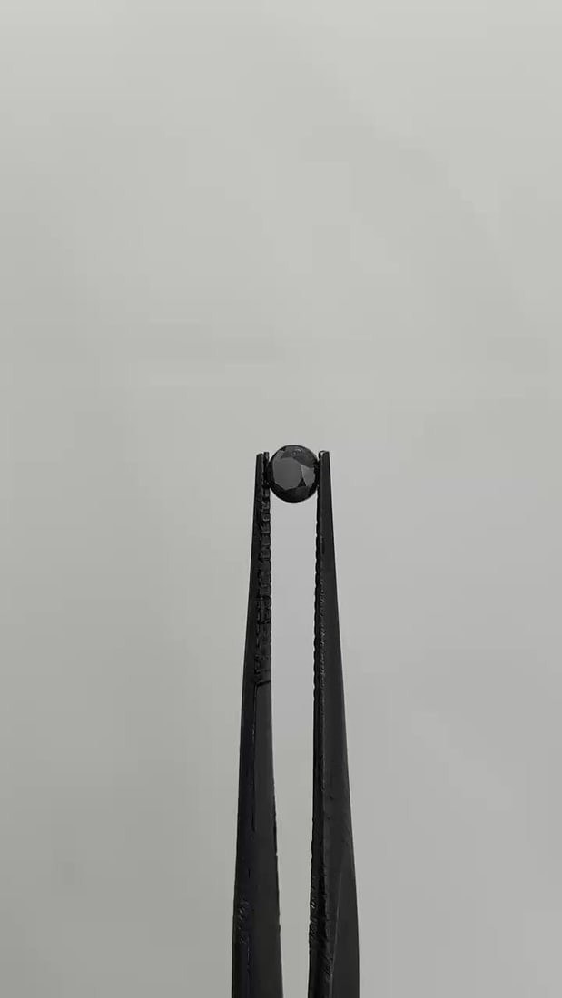 Loose Diamond - ROUND 0.28ct Fancy Black VVS2 (1 of 1)