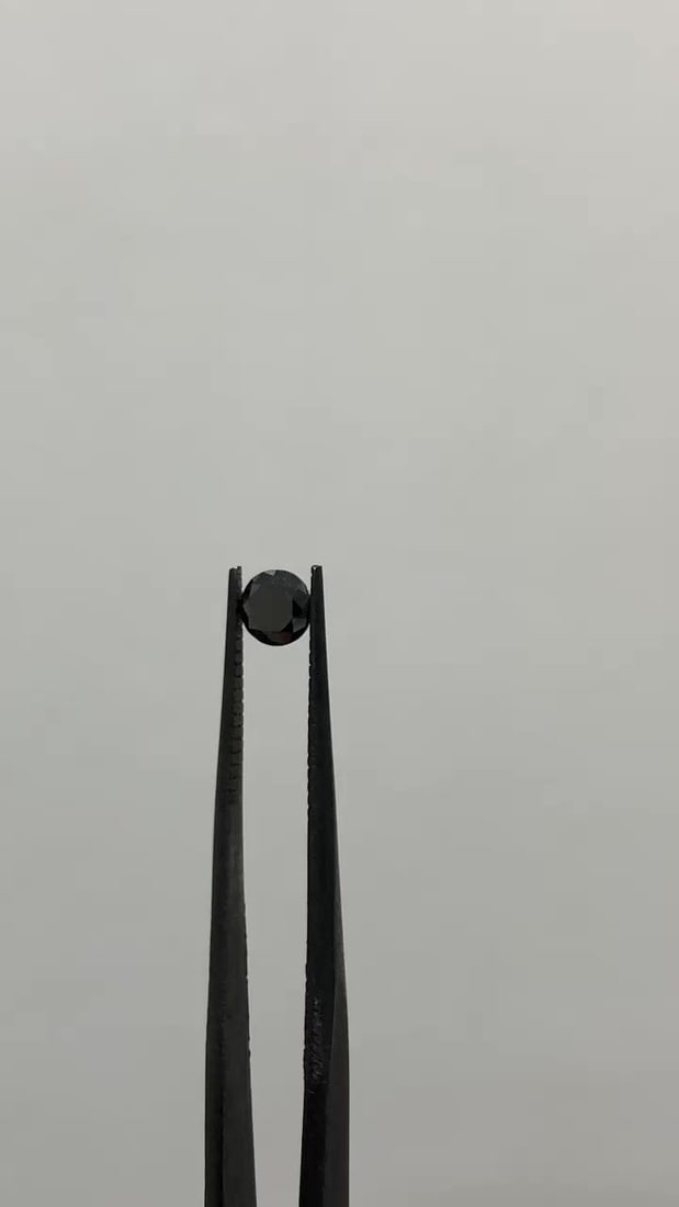 Loose Diamond - ROUND 0.49ct Fancy Black VVS2 (1 of 1)