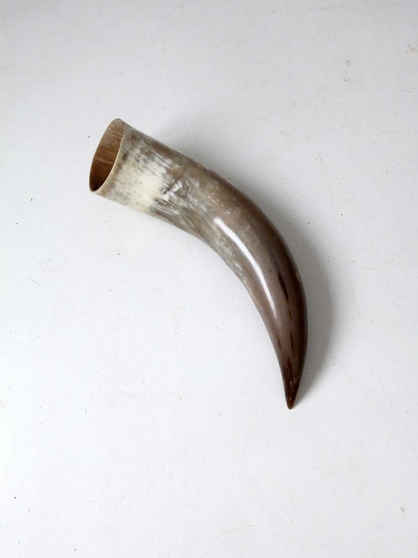 Vintage Large Polished Horn 26.25 Inch Decorative Accent (1 of 11)