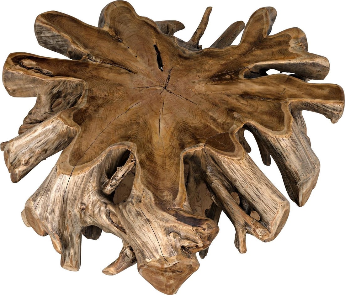 Noir Timeless Teak Root Coffee Table Organic Modern 20H x 50W x 48D (1 of 8)
