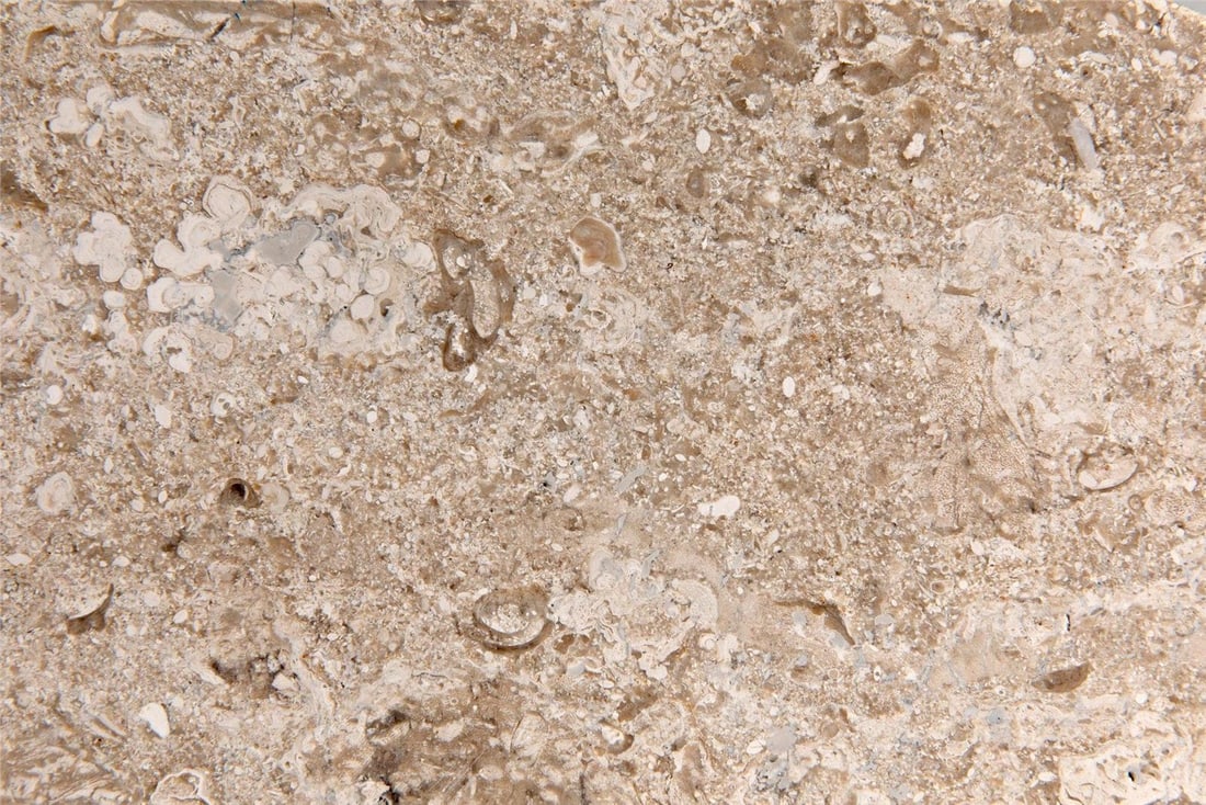 Noir Zola Vase Black and White Marble 12H Ceramic (1 of 15)