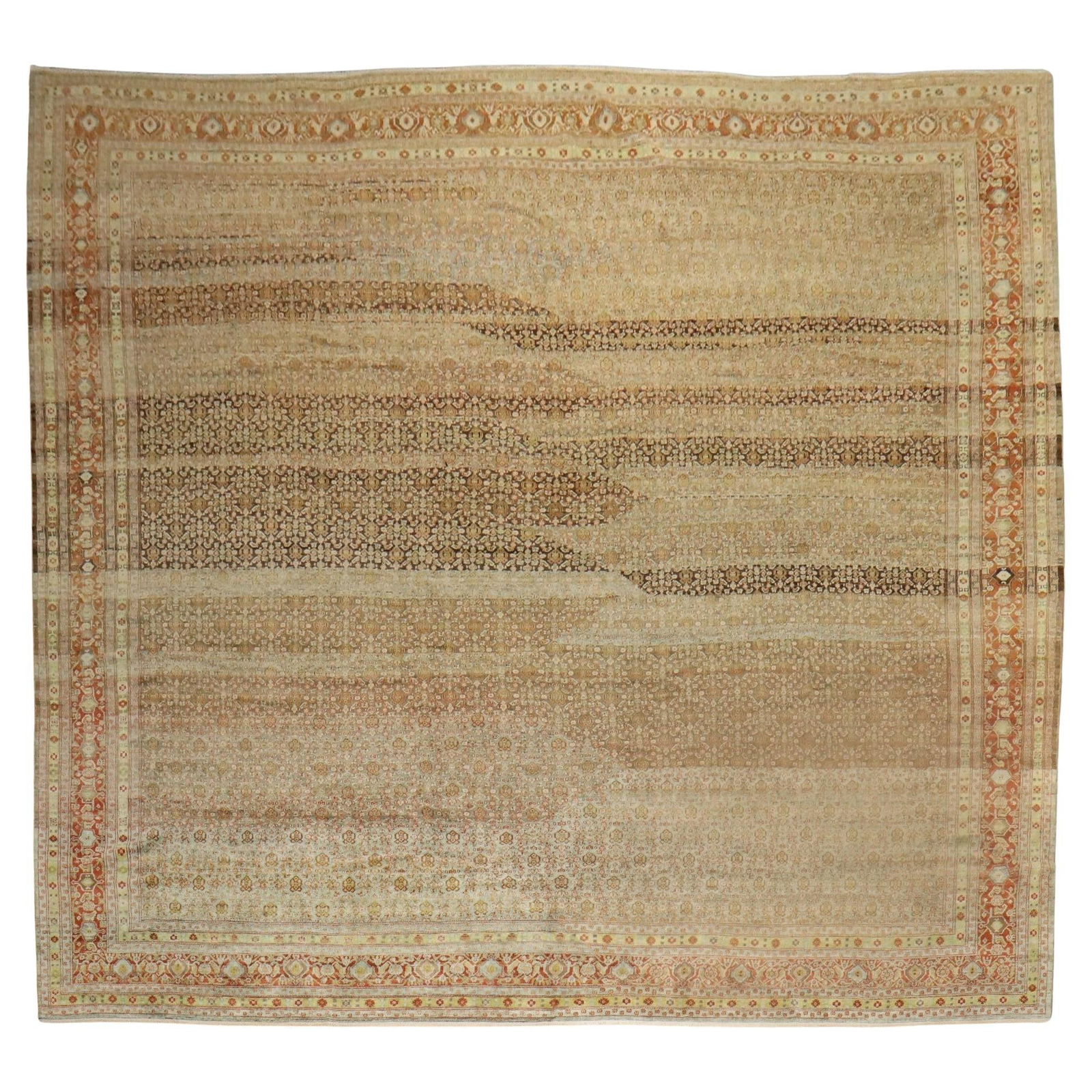 Antique Persian Senneh Rug 12'3" x 12'10" Hand-Woven Wool American Colonial (1 of 10)