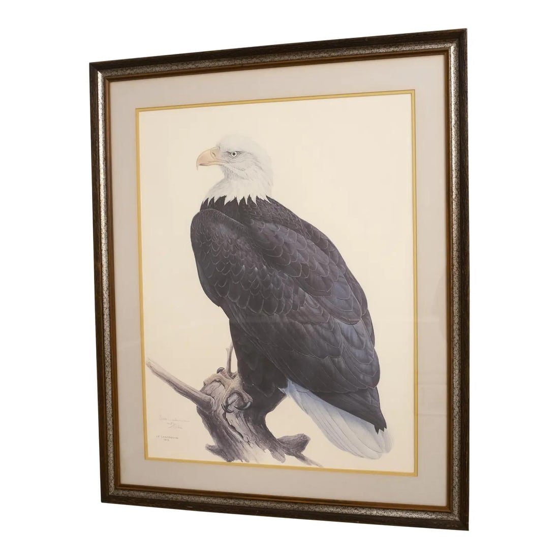 James Fenwick Lansdowne Signed Bald Eagle Lithograph 493 of 1500: James Fenwick Lansdowne Signed Bald Eagle Lithograph 493 of 1500 This stunning lithograph print features a majestic bald eagle, expertly crafted by artist James Fenwick Lansdowne. Released around 1972