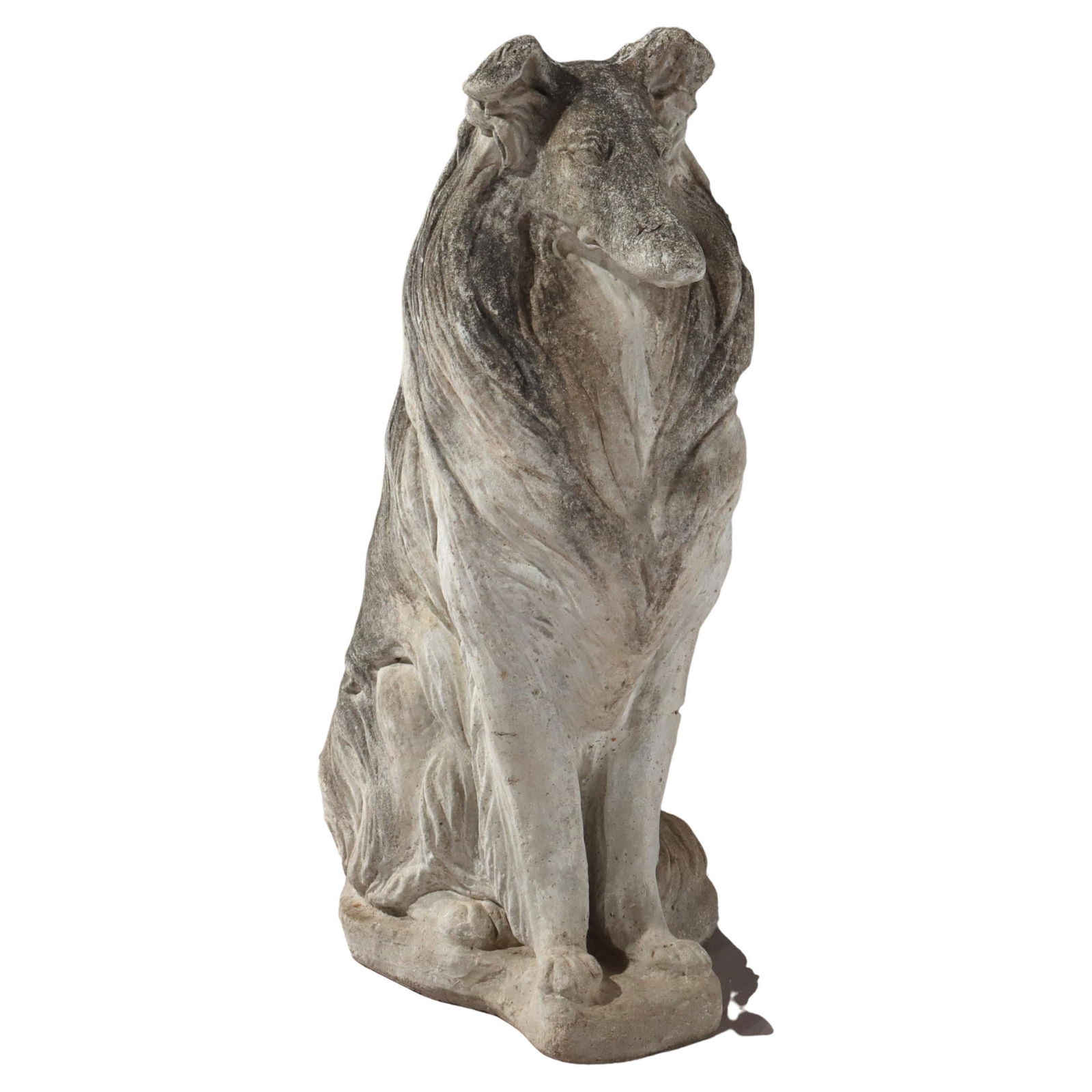 Mid-Century Vintage Collie Garden Statue 32.25in Cast Stone: Mid-Century Vintage Collie Garden Statue 32.25in Cast Stone This vintage life-sized garden statue of a Collie, crafted from cast stone around 1950, beautifully captures the elegance and grace of the b