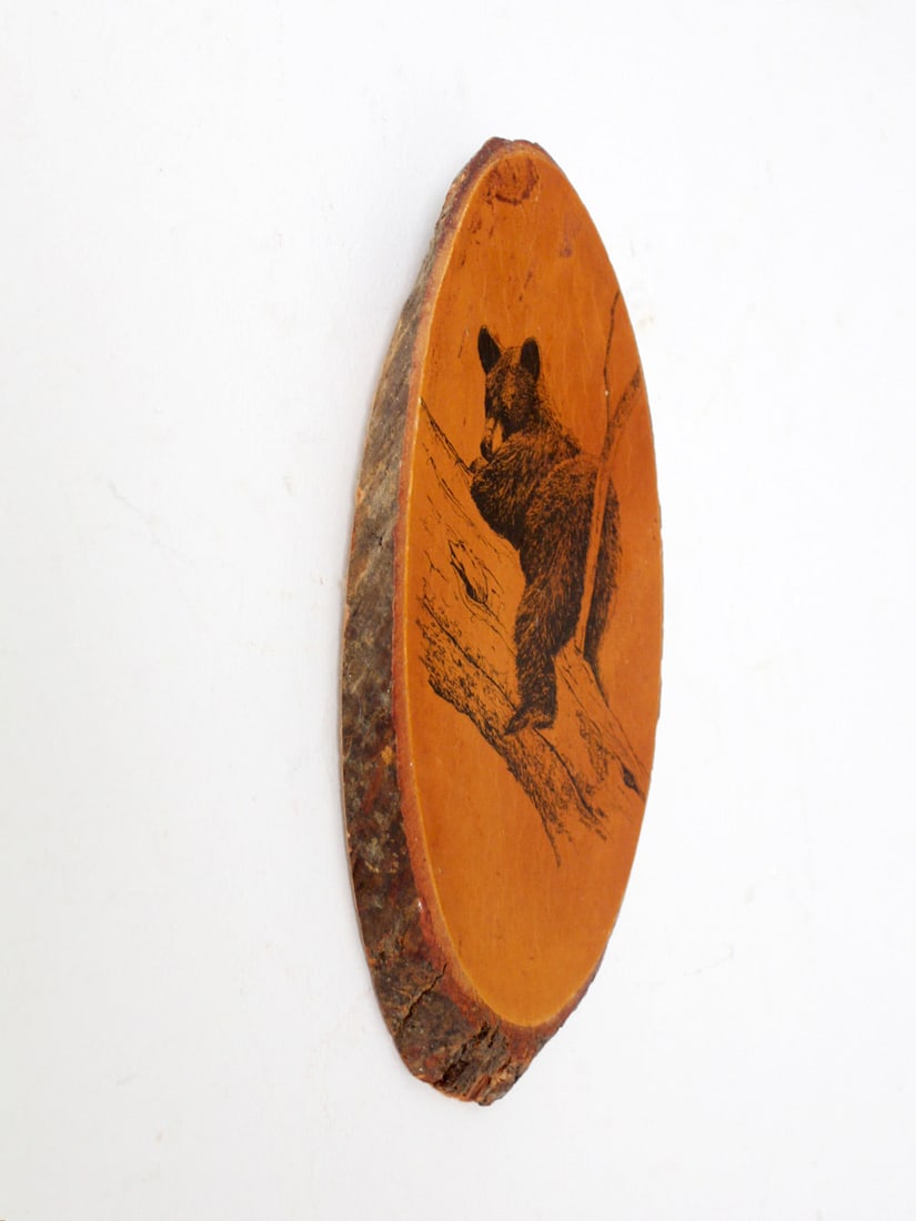 Barry Nehr Vintage Bear Cub Wood Slice Wall Art 12x6: Barry Nehr Vintage Bear Cub Wood Slice Wall Art 12x6 This vintage wood slice wall hanging showcases a beautifully detailed illustration by Barry Nehr of a black bear cub climbing a tree, meticulously
