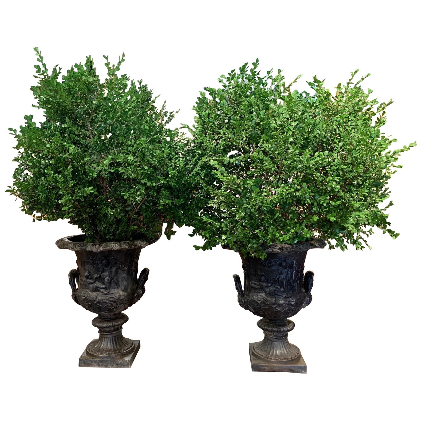 Set of 2 Midcentury French Lead Medicis Planters Neoclassical Style: Set of 2 Midcentury French Lead Medicis Planters Neoclassical Style Enhance your outdoor space with this elegant pair of Midcentury French Carved Lead Outdoor Medicis Planters. Crafted in France circa