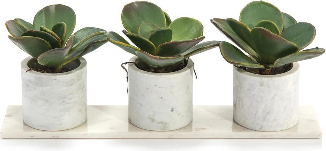 John-Richard Marble Succulent Display by Fran Bearden 10H 24W 9D: John-Richard Marble Succulent Display by Fran Bearden 10H 24W 9D Enhance your space with this stunning Traditional Marble Succulent Design Display. This elegant piece features beautifully crafted faux