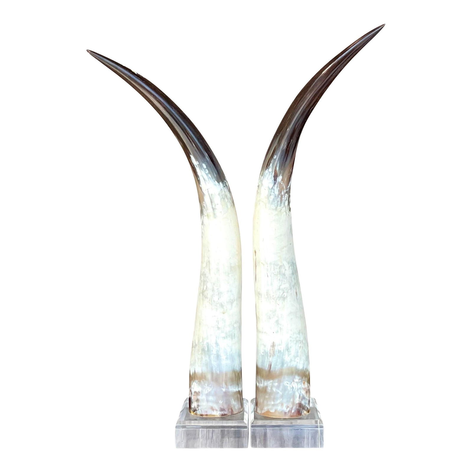 Vintage Boho Horns on Lucite Base Pair Decorative Sculptures: Vintage Boho Horns on Lucite Base Pair Decorative Sculptures This stunning pair of vintage Boho Horns showcases a beautiful natural color variation, expertly custom built on lucite. A unique addition