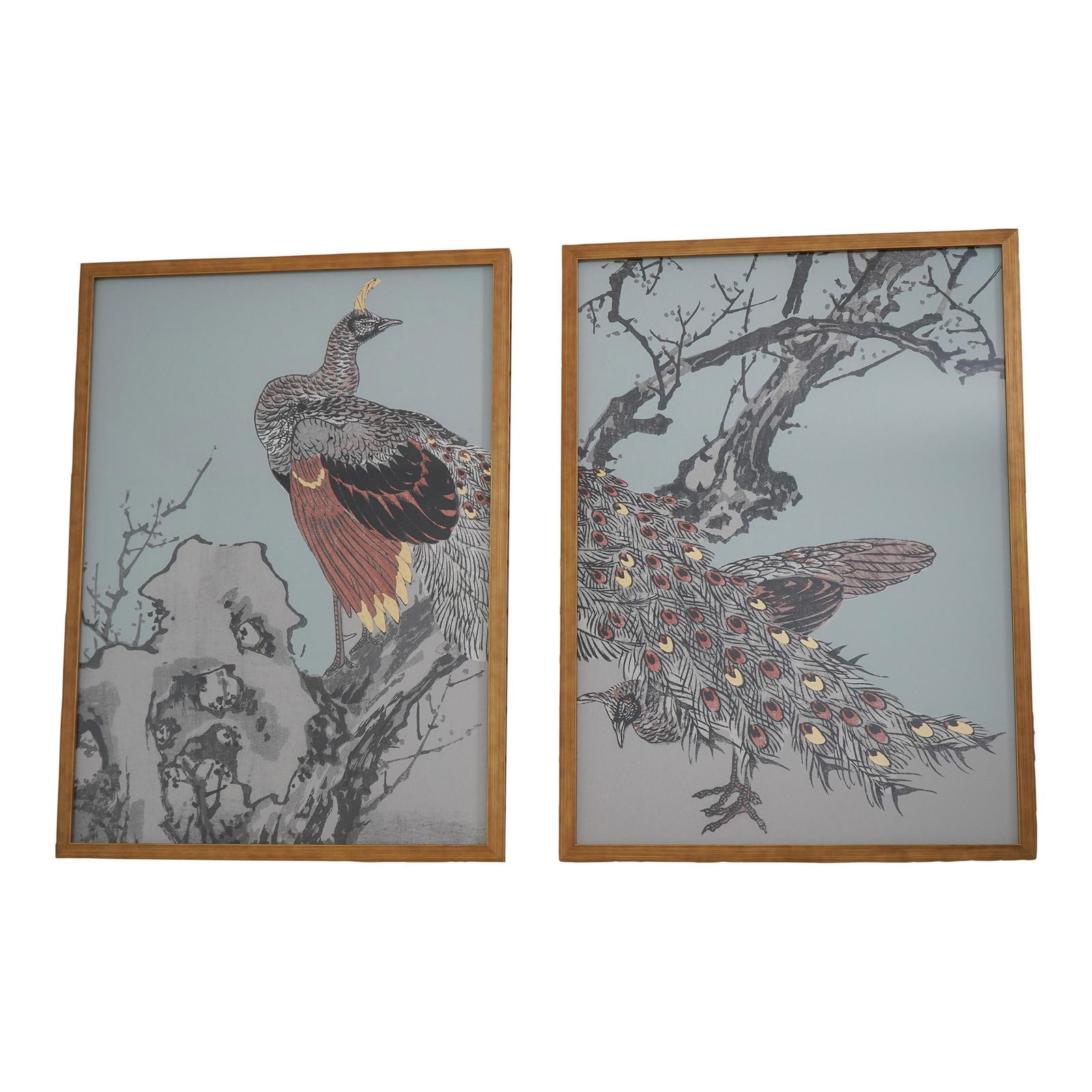 Elegant Pair of Gold Framed Peacock Prints Art: Elegant Pair of Gold Framed Peacock Prints Art This stunning pair of gold framed modern design peacock prints adds a touch of elegance to any decor. Professionally framed with glass fronts, these prin