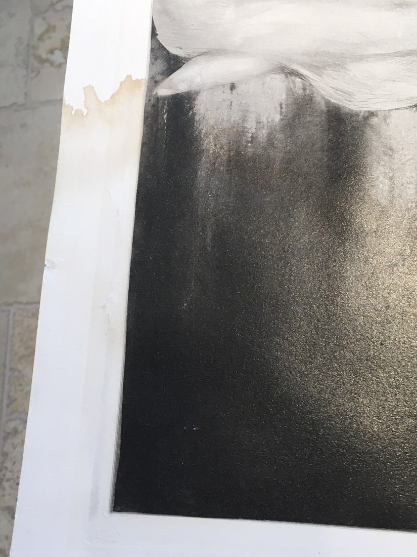 Lilies by Louis Icart 1934 Original Signed Framed Etching - 8