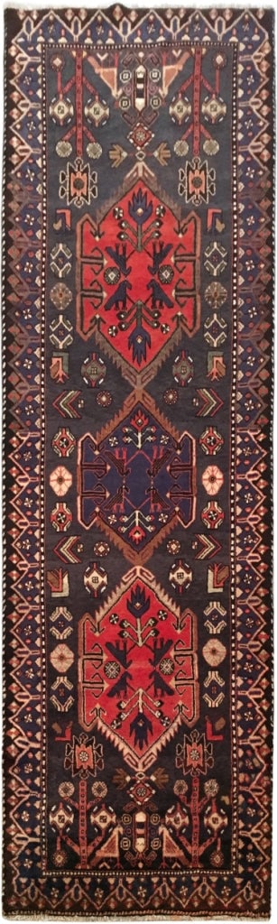 3'5" x 9'9" Multi-Color Persian Hamadan Runner Rug: 3'5" x 9'9" Multi-Color Persian Hamadan Runner Rug Free continental US Shipping Experience the elegance of Persian craftsmanship with this stunning Hamadan runner rug. Handwoven by skilled artisans in
