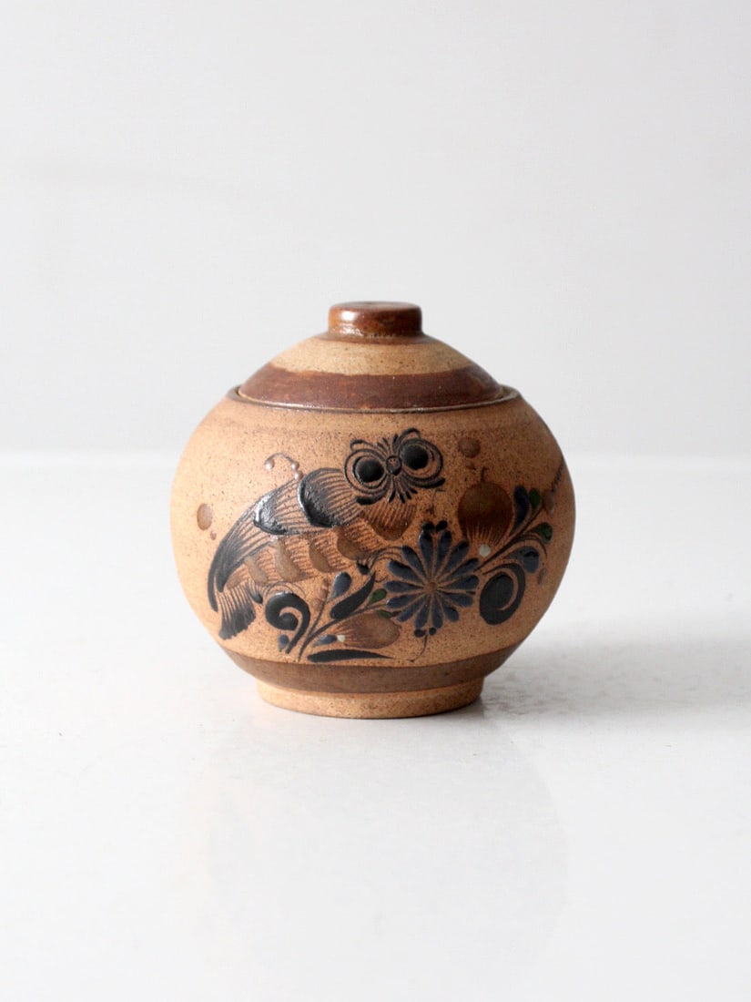 Hand-Painted Mexican Jar with Tonala Inspired Bird and Floral Motifs (1 of 11)