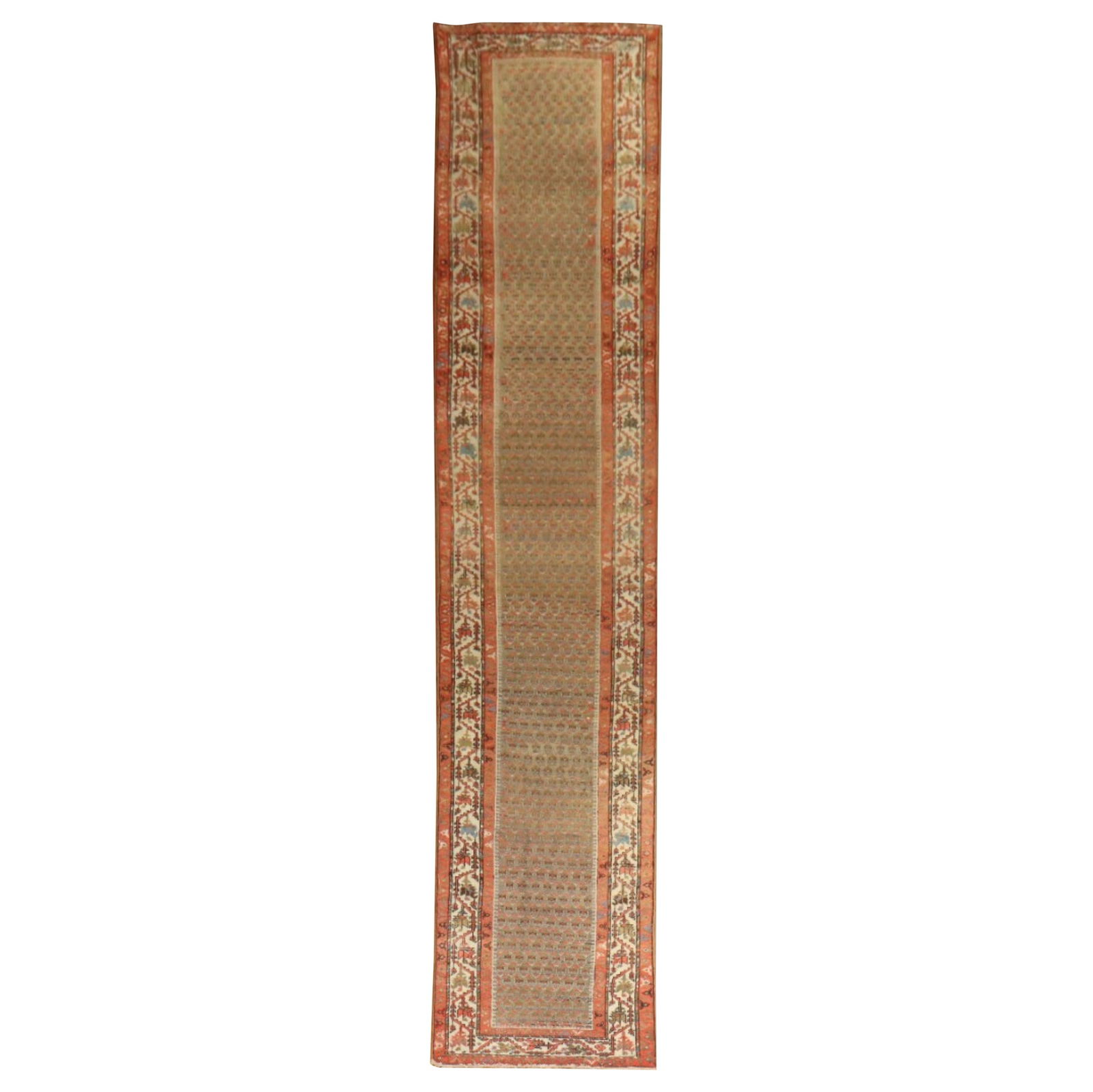 Antique Persian Malayer Runner Wool Hand-Knotted 36 x 214 in: Antique Persian Malayer Runner Wool Hand-Knotted 36 x 214 in This exquisite Long Malayer Antique Persian Runner features a stunning design that showcases the artistry of early 20th-century Persian cra