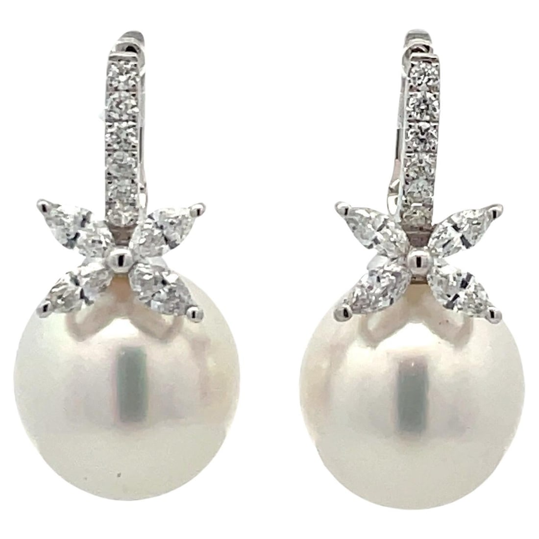 Harbor Diamonds Floral Diamond South Sea Pearl Earrings 18K White Gold: Harbor Diamonds Floral Diamond South Sea Pearl Earrings 18K White Gold Elevate your elegance with these exquisite drop earrings crafted from 18 Karat White Gold. The earrings feature a stunning floral