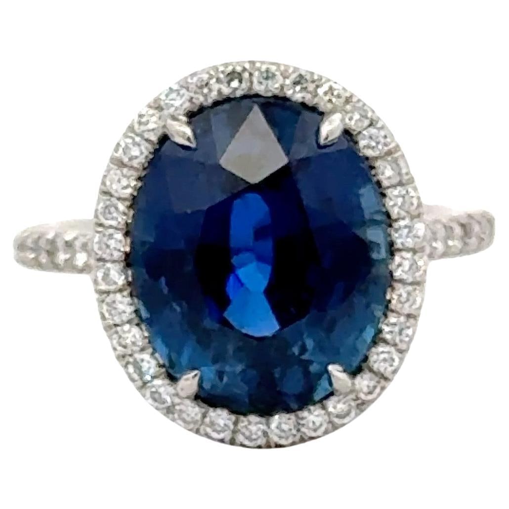 C Dunaigre 6.5 Carat Oval Sapphire Diamond Halo Ring Platinum: C Dunaigre 6.5 Carat Oval Sapphire Diamond Halo Ring Platinum This exquisite cocktail ring features a stunning 6.50 carat oval-cut deep blue sapphire, certified by the renowned gemological laboratory