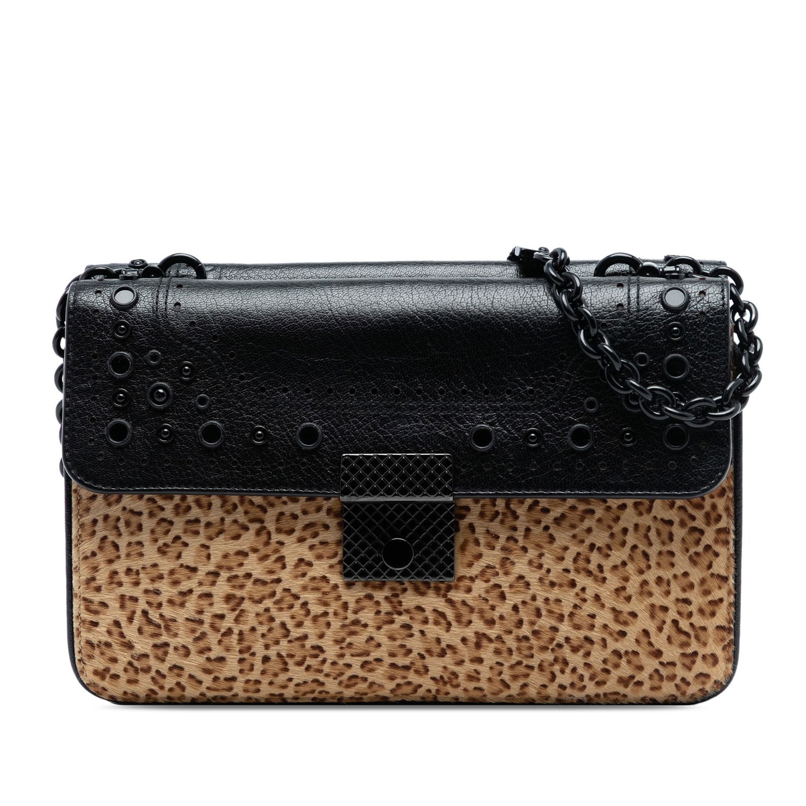 Bottega Veneta Pony Hair Leopard Pattern Glass Shoulder Bag (1 of 7)